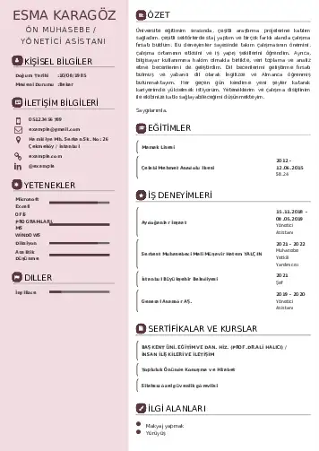Yönetici Asistanı Cv Örnekleri cv indir